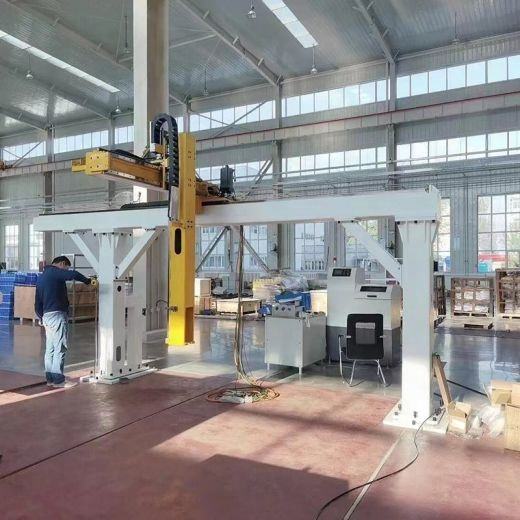 3 Axis Gantry Palletizer Cartesian Robot for Picking and Placing